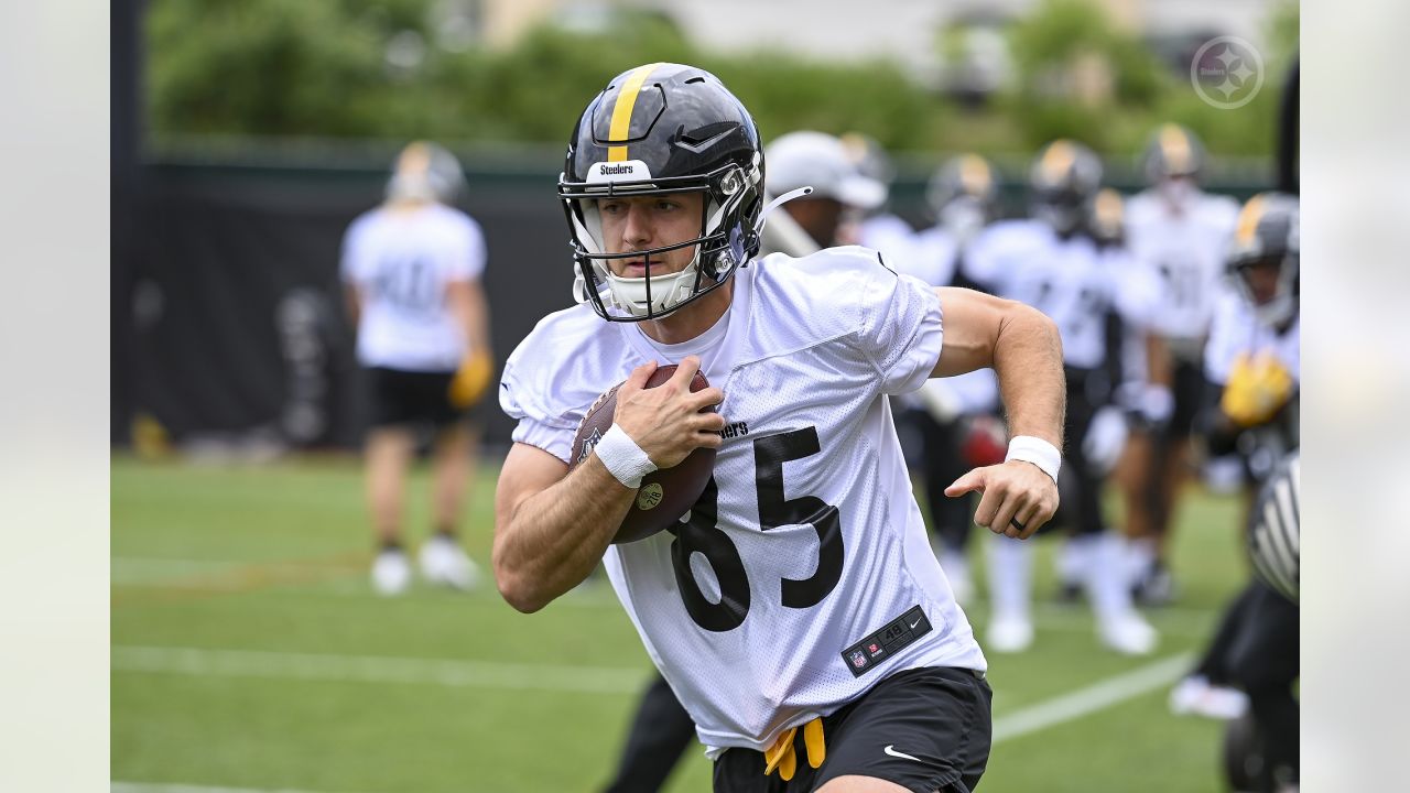 Pittsburgh Steelers wide receiver Dan Chisena (85) lines up during