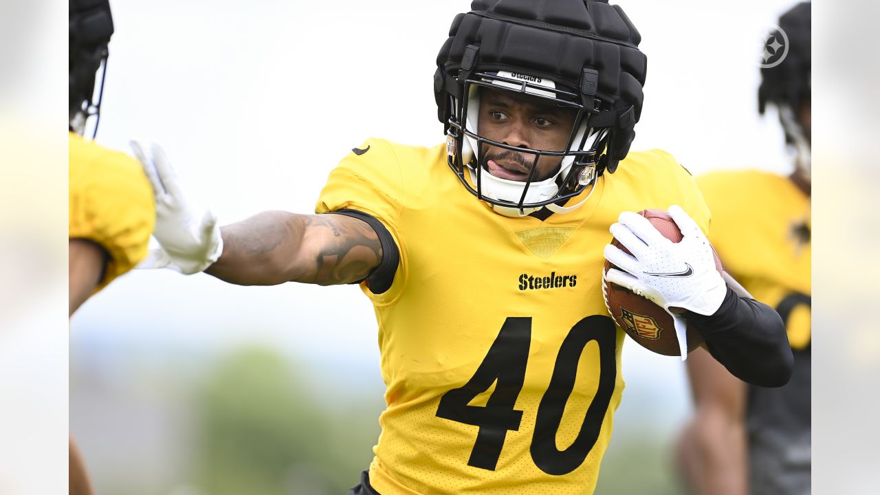 Former Steelers CB Bryant McFadden says George Pickens needs