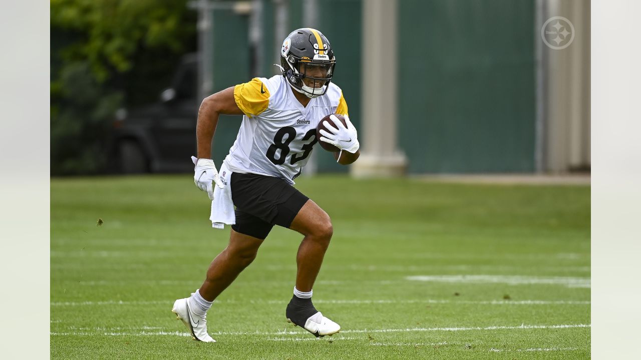 Steelers rookie camp notes: George Pickens confident he can make seamless  leap from SEC to NFL