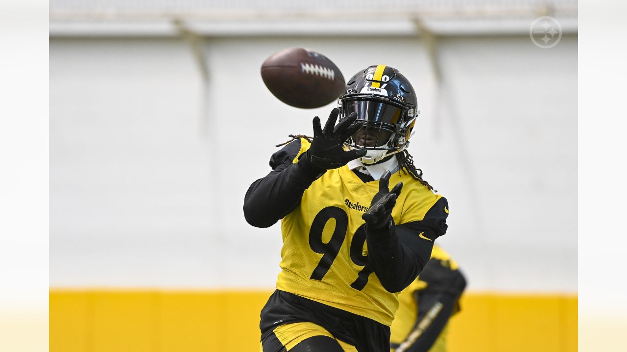 Former Bengal, current Steelers' DT Larry Ogunjobi is looking forward to  facing his former team in Week 1 