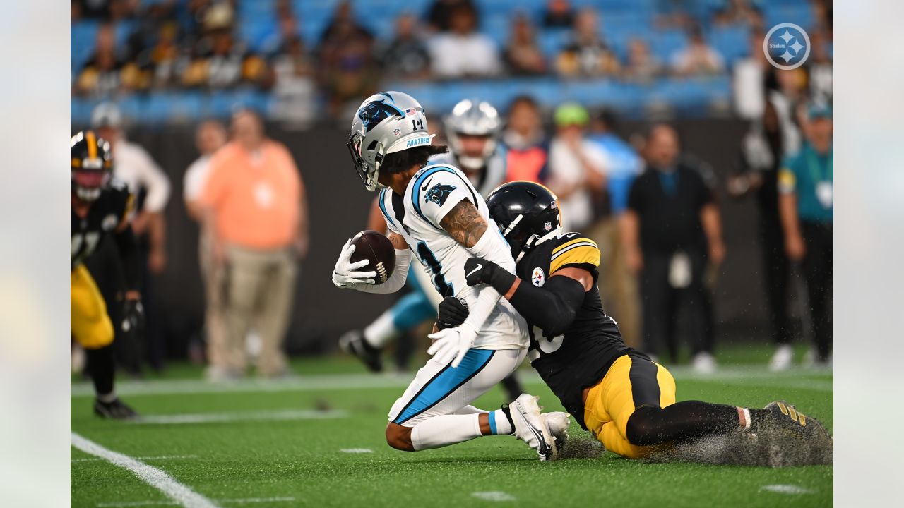 Panthers Beat Up on Steelers 34-9 In Final Preseason Game