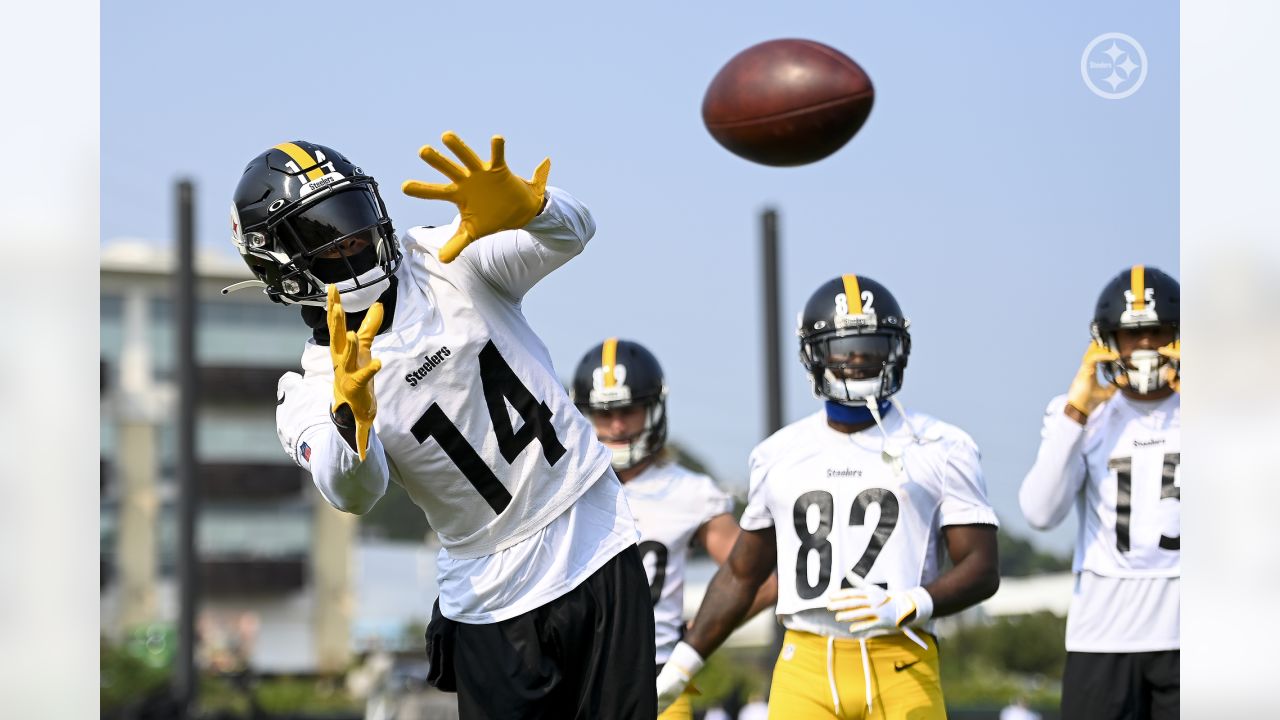 Steelers Re-Sign OLB David Anenih To Practice Squad 