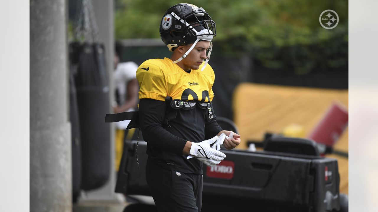 Pittsburgh Steelers inside linebacker Joe Schobert (93) reacts on