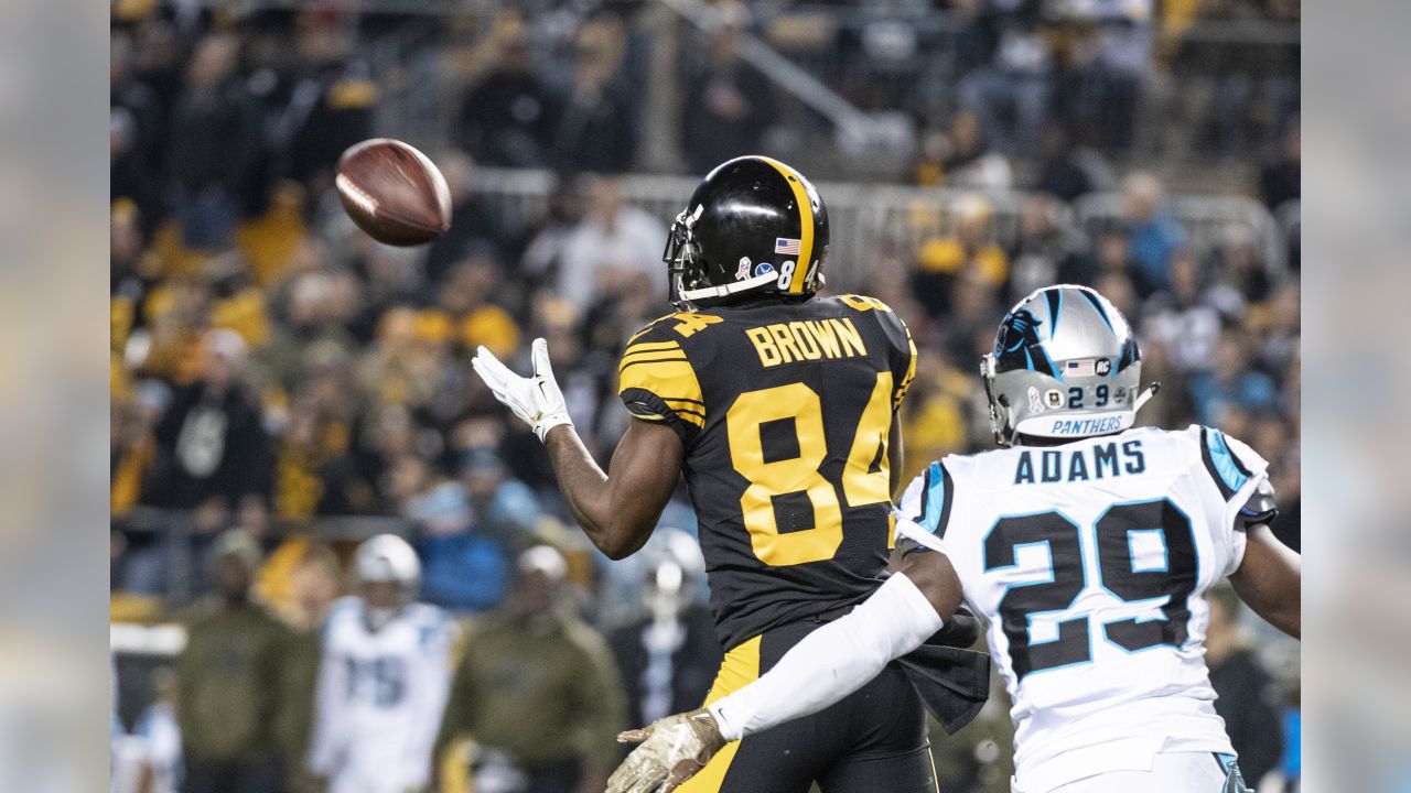 Carolina Panthers fall to Pittsburgh Steelers, 52-21