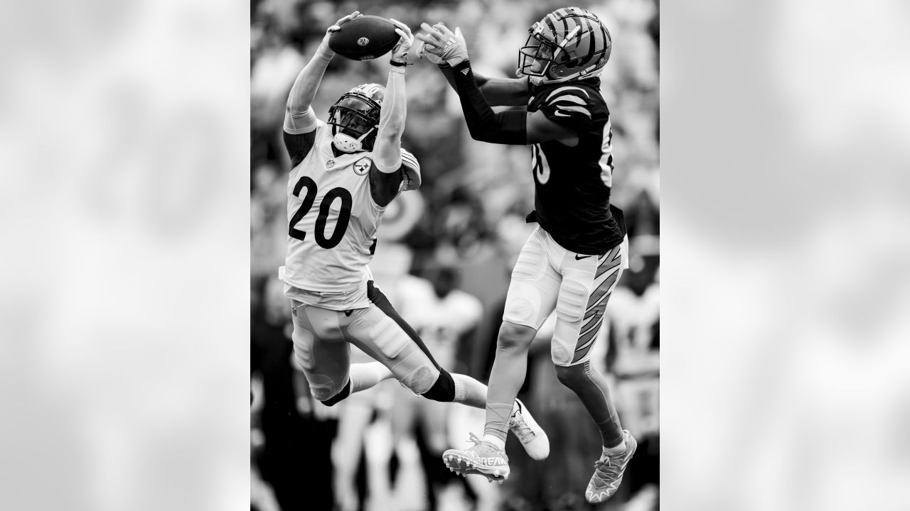 Cincinnati Bengals defensive end Cameron Sample (96) reacts during an NFL  football game against the Pittsburgh Steelers, Sunday, Nov. 28, 2021, in  Cincinnati. (AP Photo/Emilee Chinn Stock Photo - Alamy