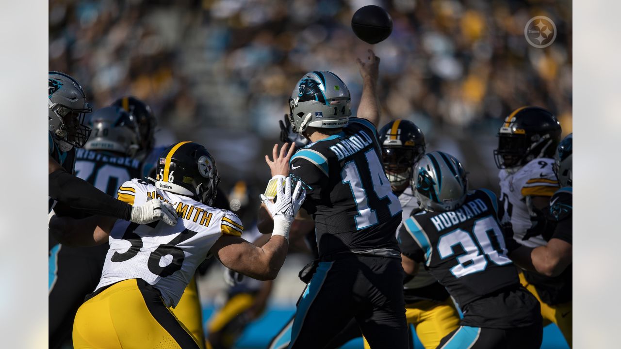 4,372 Carolina Panthers V Pittsburgh Steelers Photos & High Res Pictures -  Getty Images