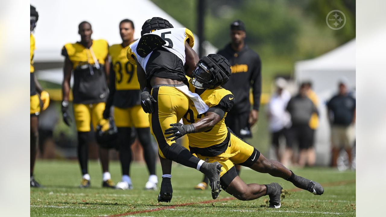 Steelers ILB Mark Robinson's patience could pay off with starting spot in  2023 - The Athletic