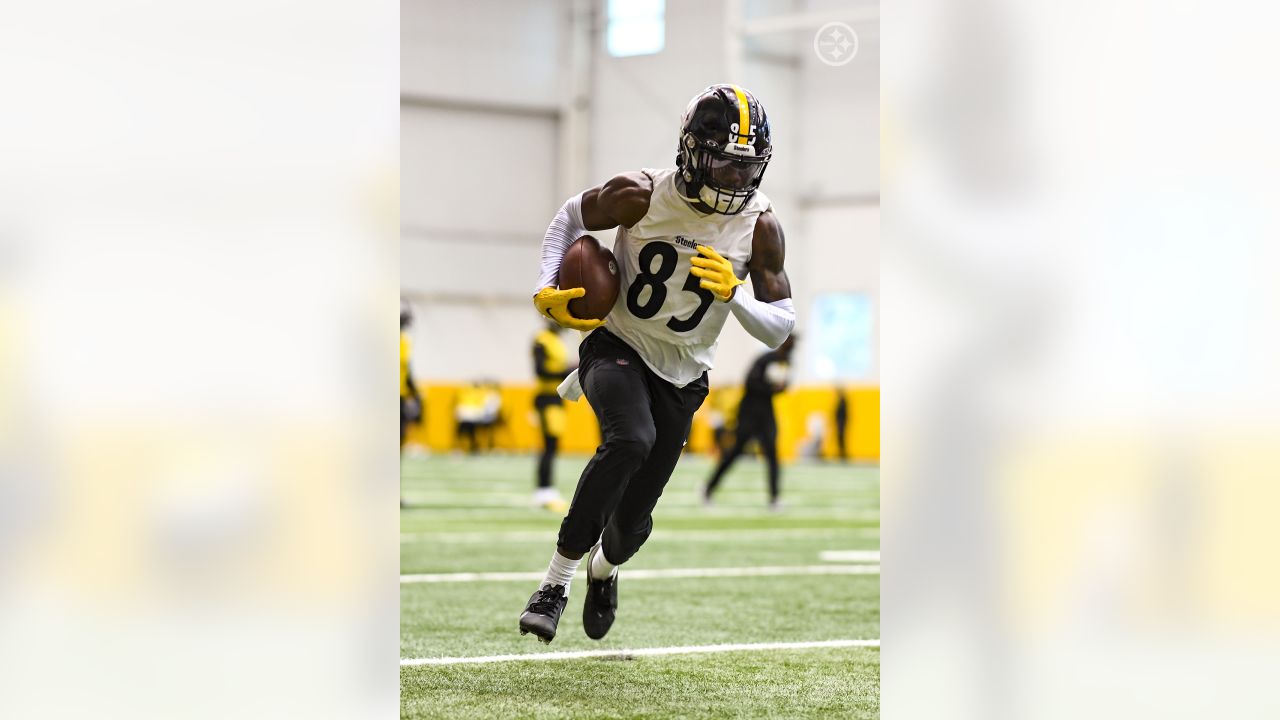 Diontae Johnson, T.J. Watt limited in practice as Steelers prepare to face  Ravens