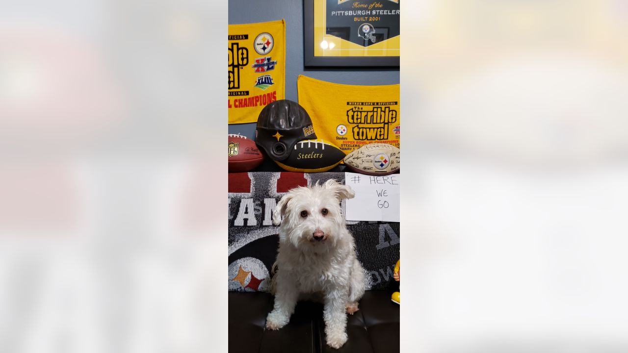 Making your Friday better one dog at - Pittsburgh Steelers