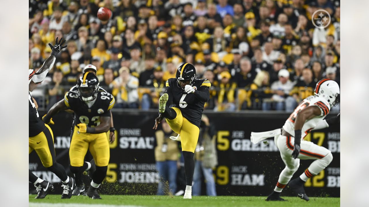 Steelers: NFL fans go wild after Pressley Harvin's immaculate punt