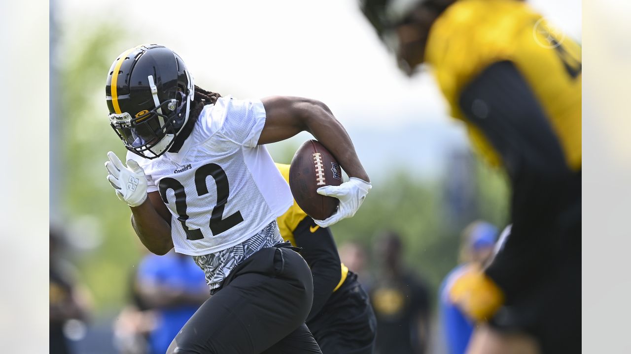 Pittsburgh Steelers offensive tackle Le'Raven Clark (67) walks on