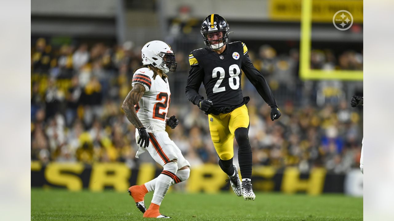 Steelers beat Browns 28-14 but miss out on playoffs