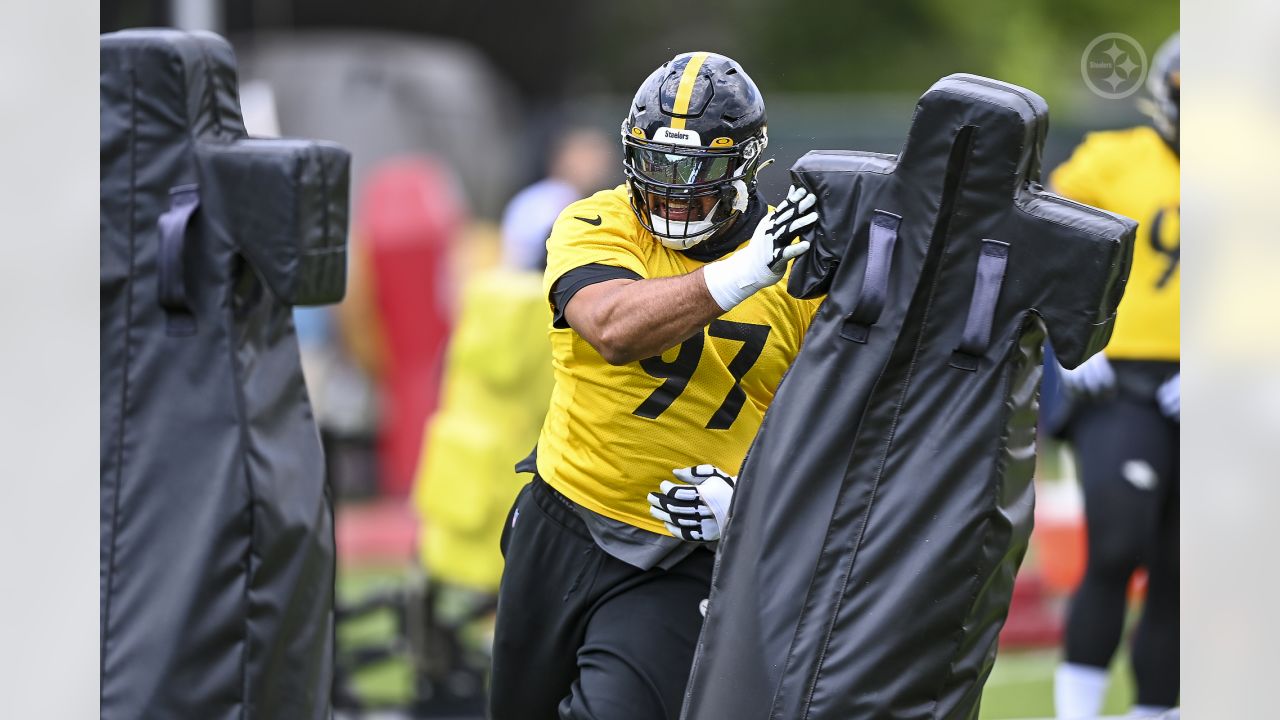 Steelers' Cam Heyward Absolutely Perplexed As To How Alex