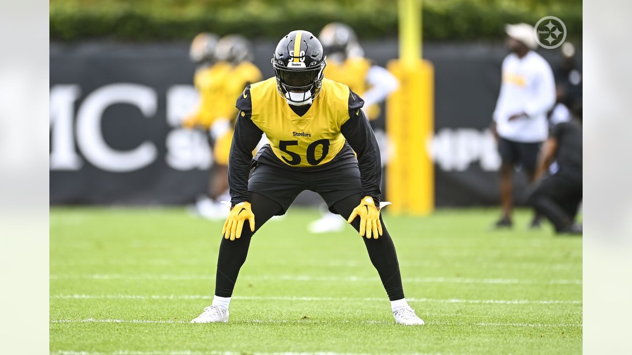 Steelers DT DeMarvin Leal 'feels more confident' ahead of Week 1 matchup  vs. 49ers - Behind the Steel Curtain