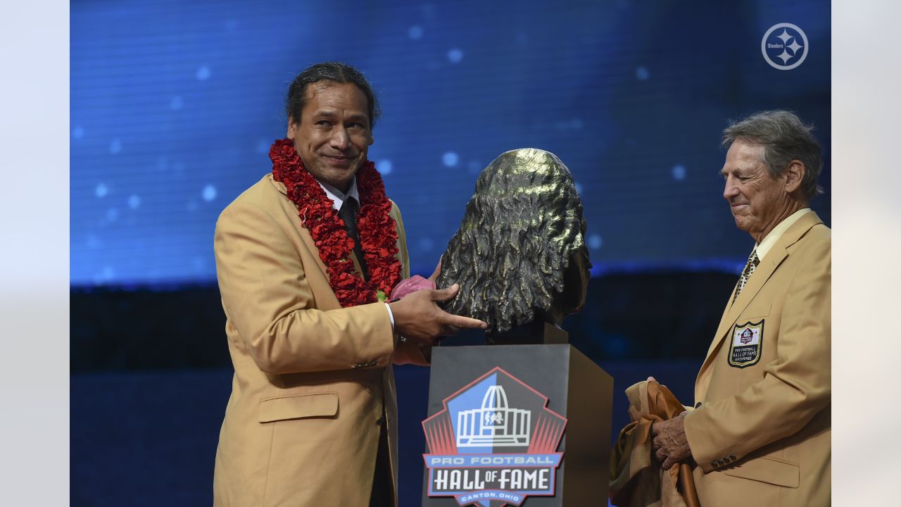 Burgh's Best to Wear It, No. 43: Troy Polamalu plays waiting game for  Canton enshrinement