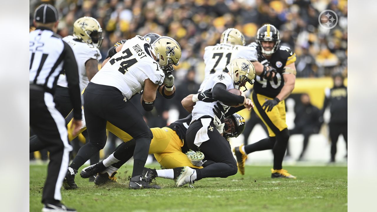 A sea of pigeons took over the field during Steelers-Saints Week 10 game