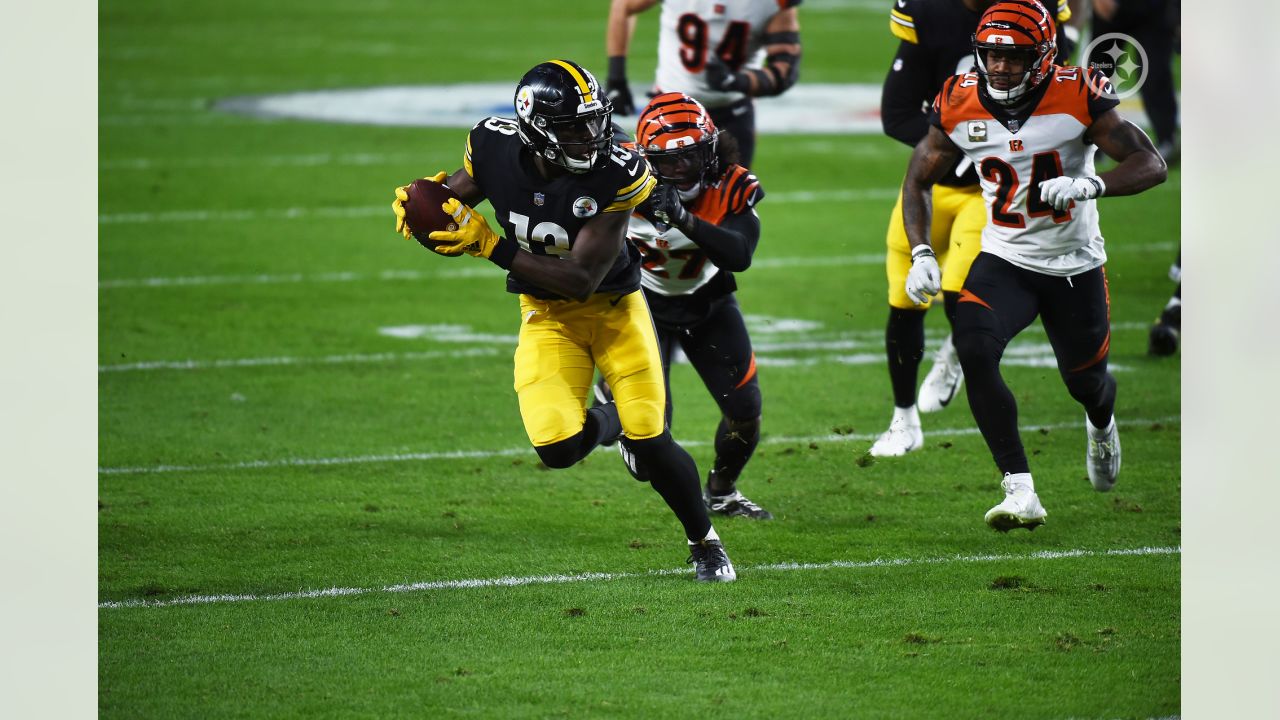 Steelers defeat Bengals, 36-10