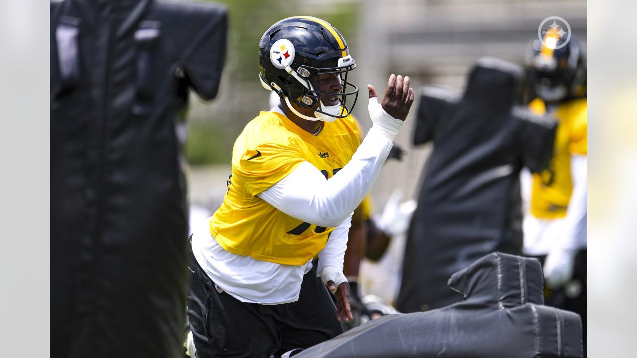 Steelers Expect Big Things From 2nd-Year Defender DeMarvin Leal In 2023