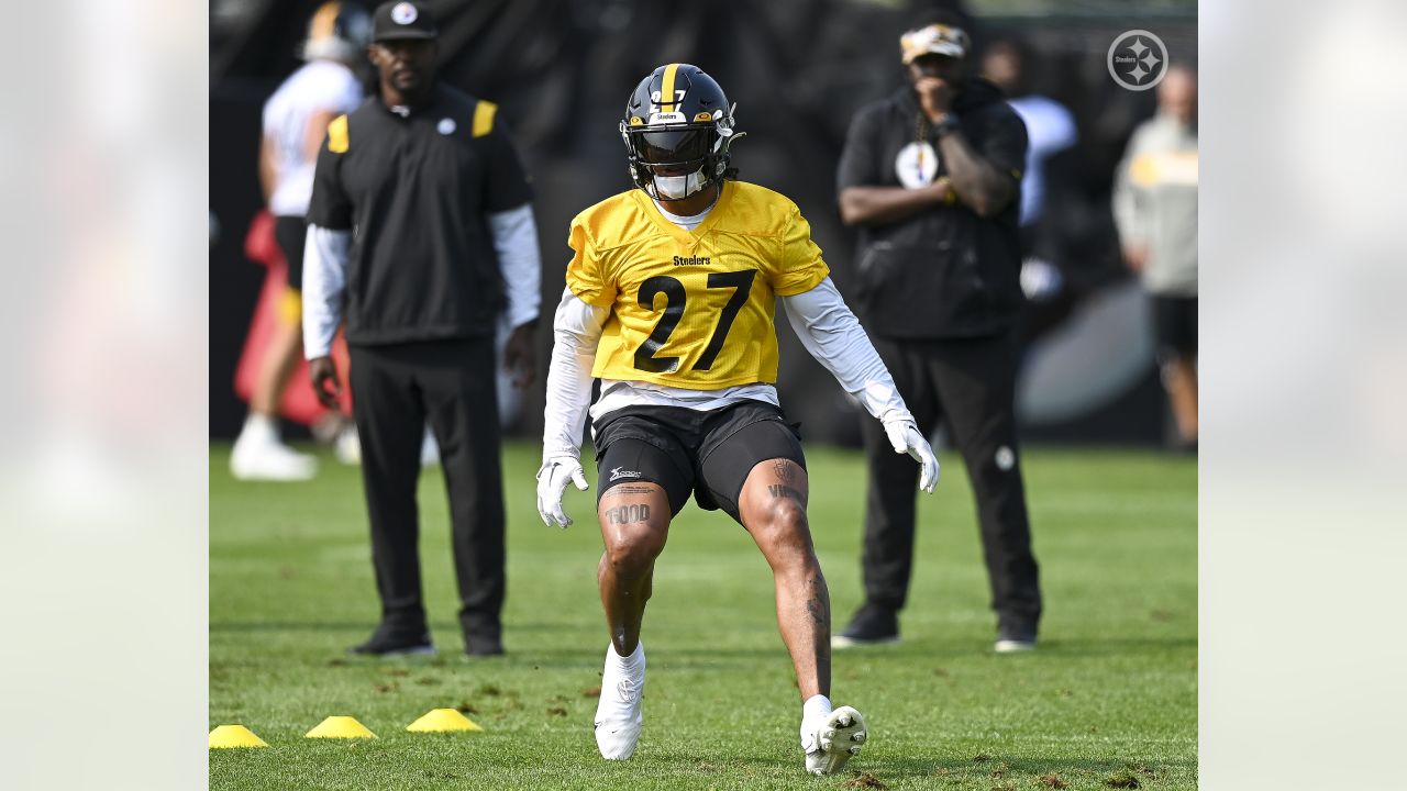 Steelers injury updates: Chase Claypool, Pat Freiermuth dealing sustain  injuries in training camp - DraftKings Network