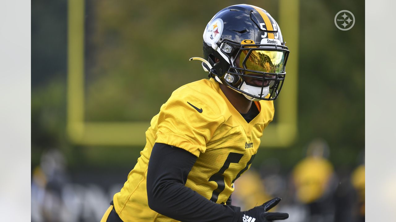 Devin Bush not shying away from expectations in Pittsburgh