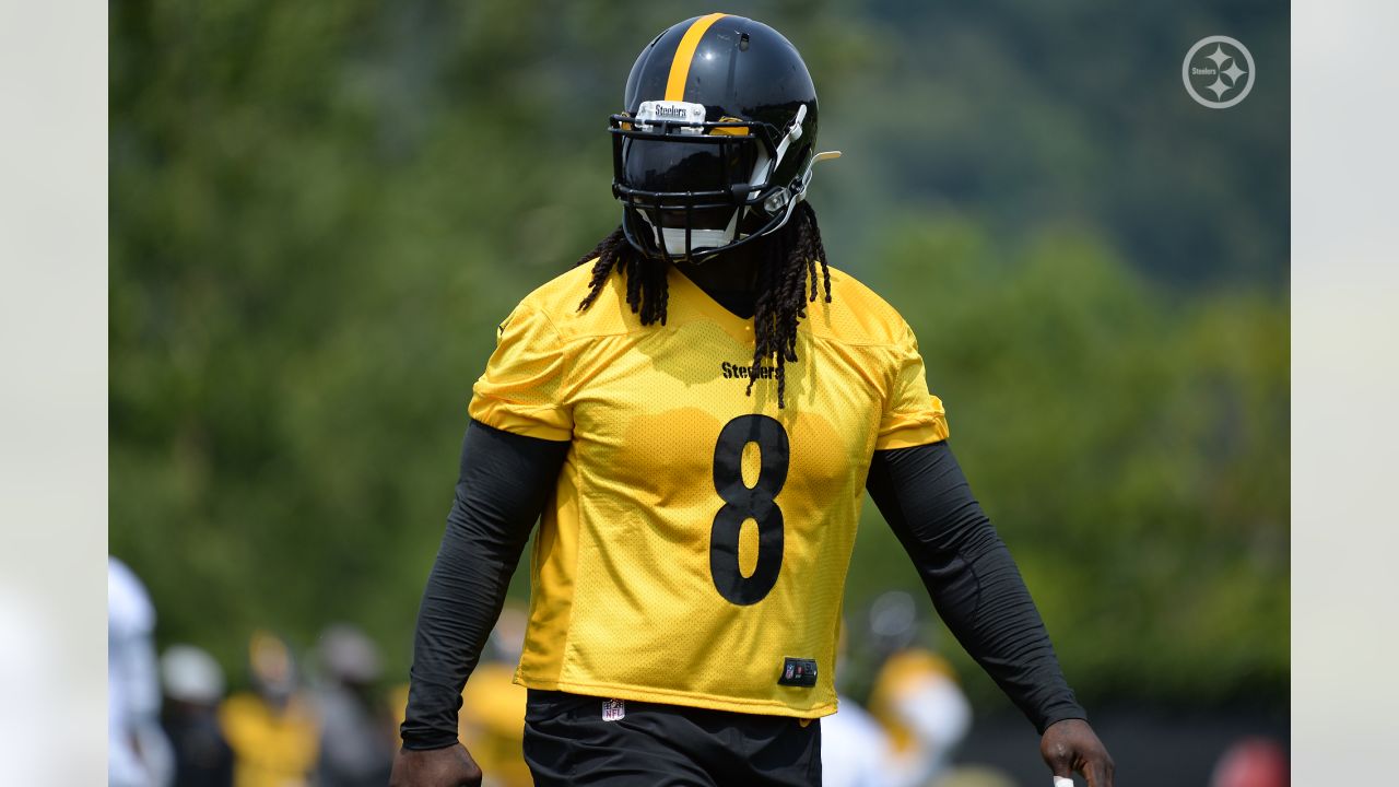 Henry Mondeaux Another Steelers Fill-In That Has Exceeded Expectations