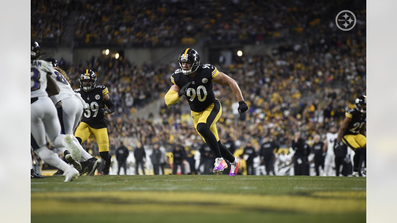 The Viz: The Pittsburgh Steelers vs. Baltimore Ravens Through Time