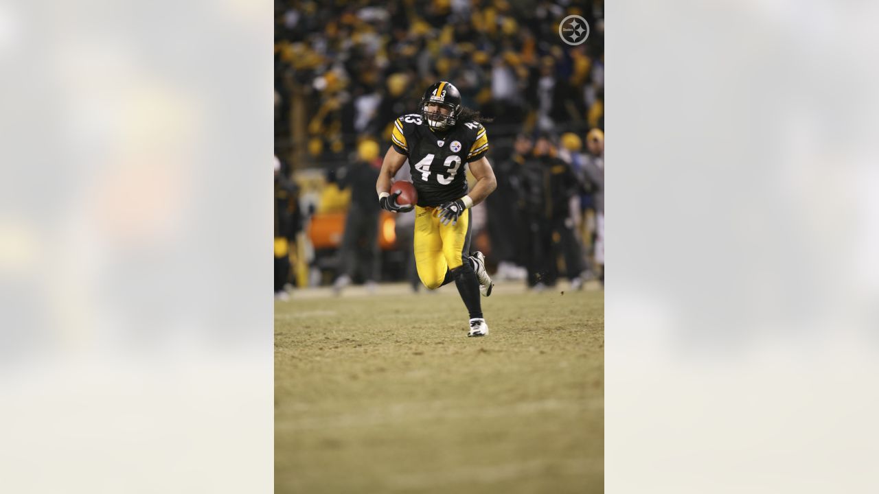 Steelers add Troy Polamalu, Dwight White, Greg Lloyd, James