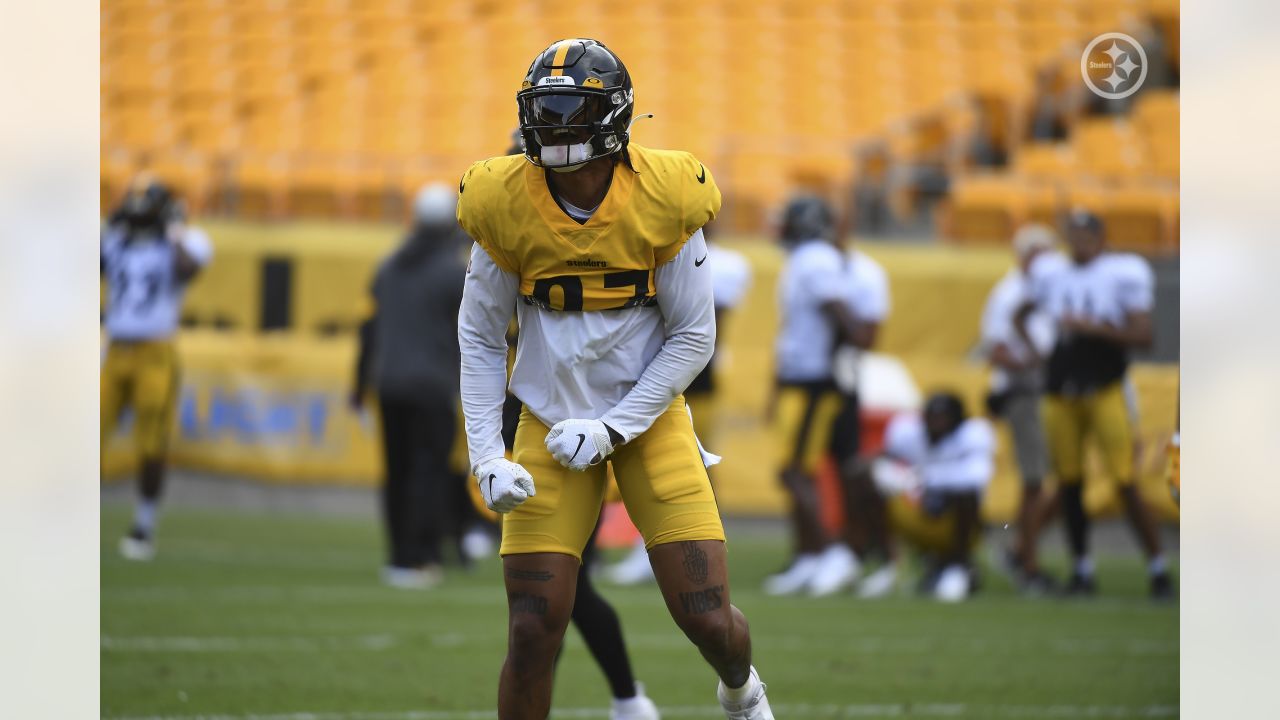 Pittsburgh Steelers linebacker Marcus Allen (27) reacts after a