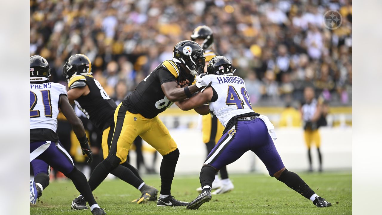 Steelers TE Darnell Washington earns praise from Mike Tomlin - Behind the  Steel Curtain