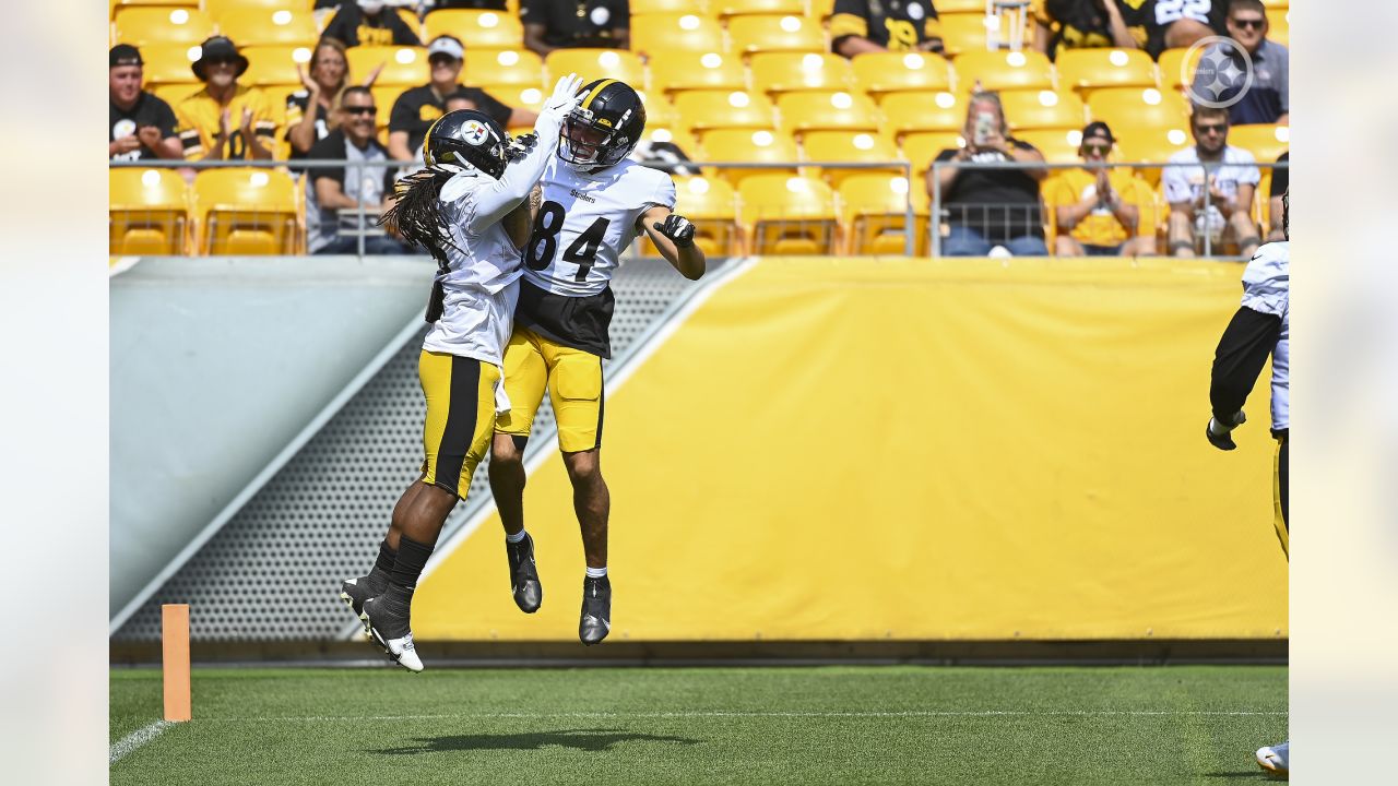 Rico Bussey Jr., Pittsburgh Steelers WR, NFL and PFF stats