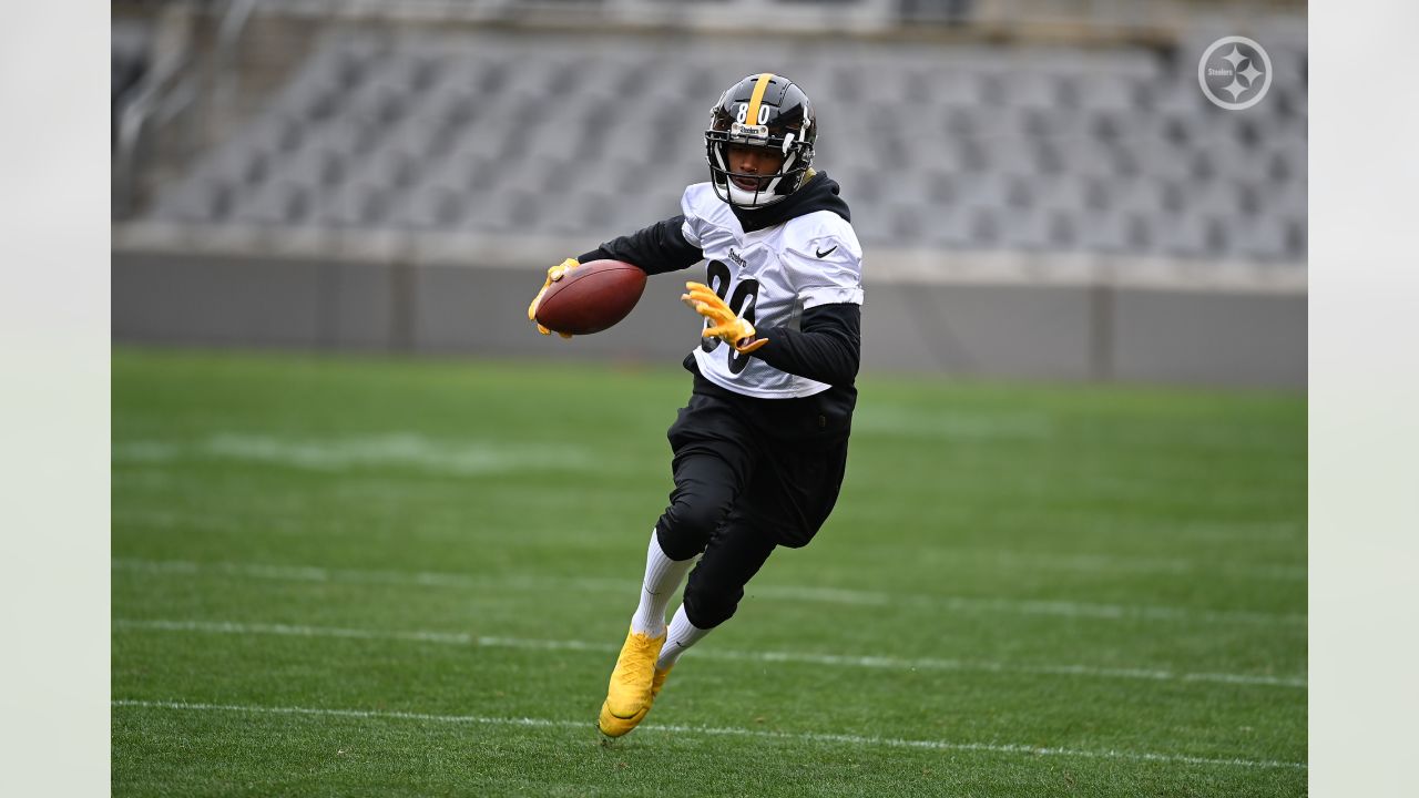 Steelers' Najee Harris hopes grueling training regimen allows him to be  'ready for anything' this season 