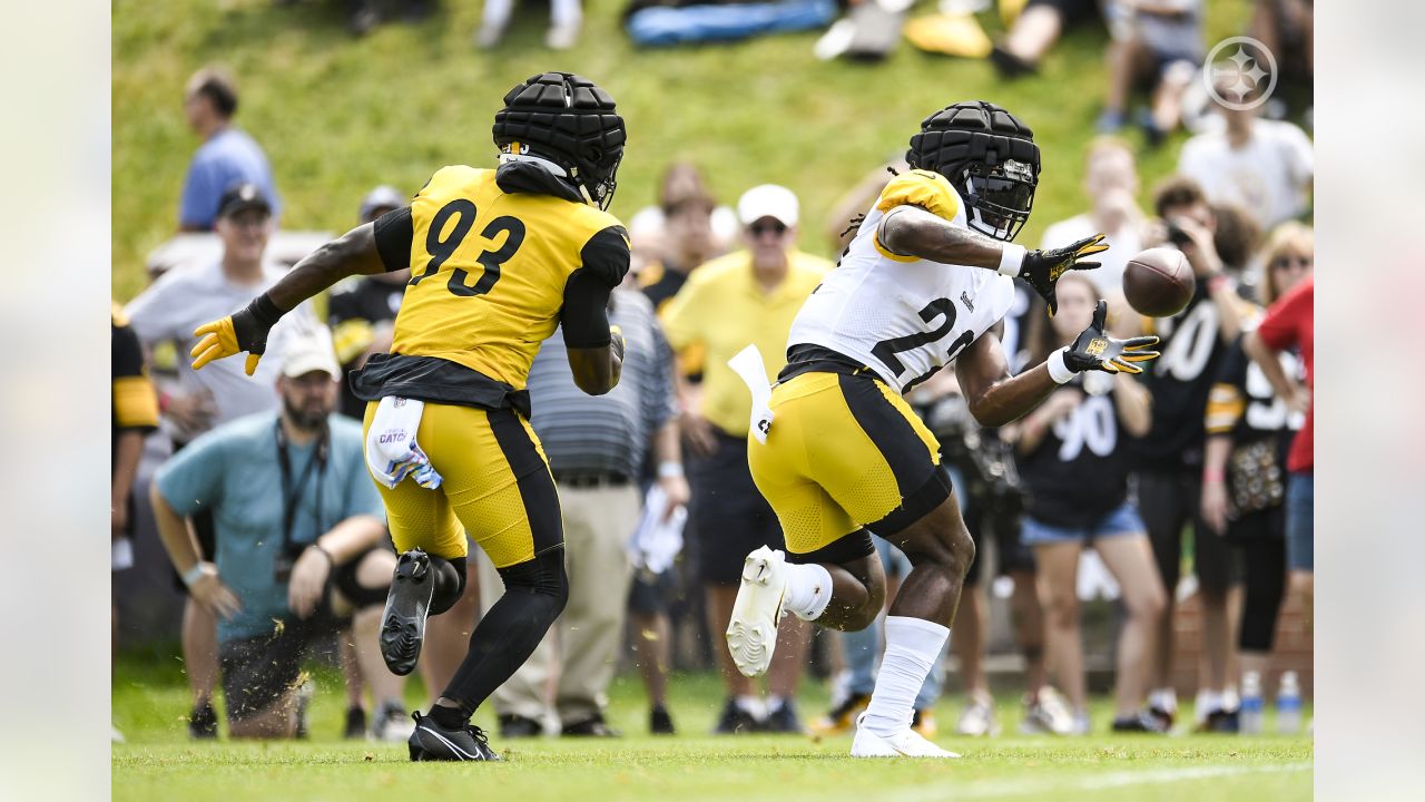 July 30th, 2023: Pat Freiermuth #88 during the Pittsburgh Steelers training  camp in Latrobe, PA. Jason Pohuski/CSM/Sipa USA(Credit Image: © Jason  Pohuski/Cal Sport Media/Sipa USA Stock Photo - Alamy