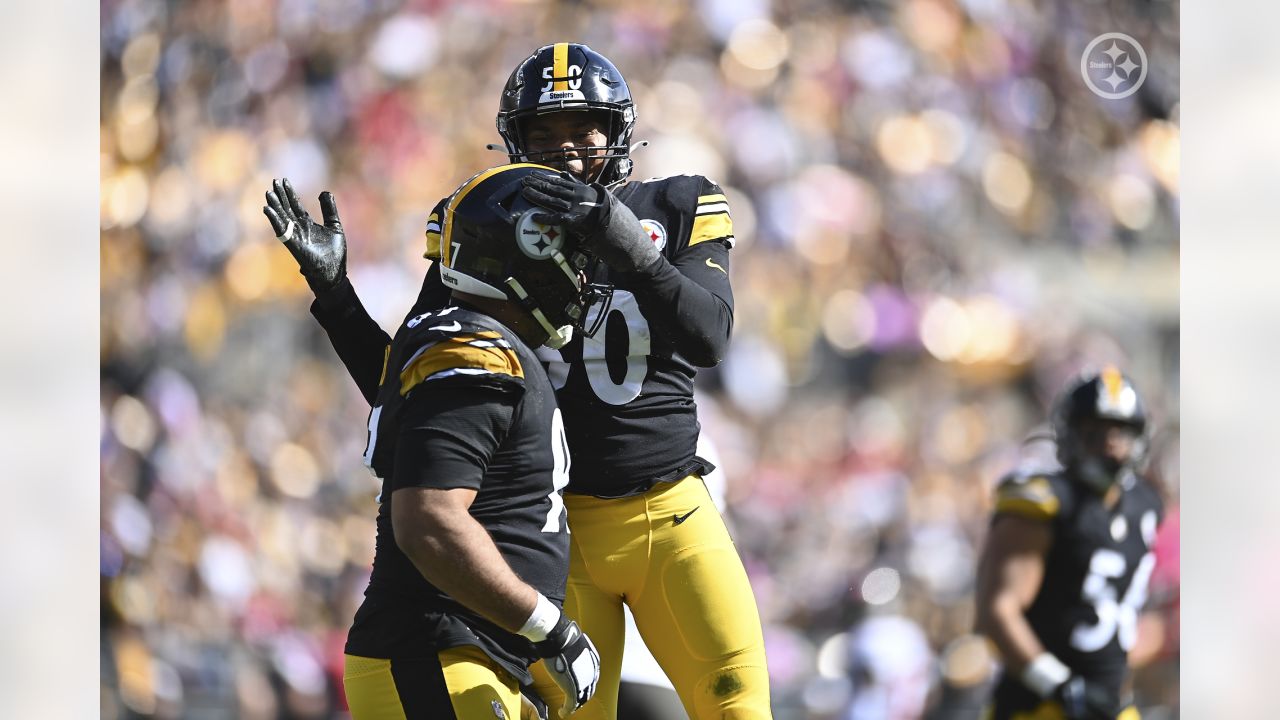 Pittsburgh Steelers defensive tackle Chris Wormley (95) reacts after a  defensive stop in the second half during an NFL football game against the  Tampa Bay Buccaneers in Pittsburgh, Sunday, Oct. 16, 2022. (