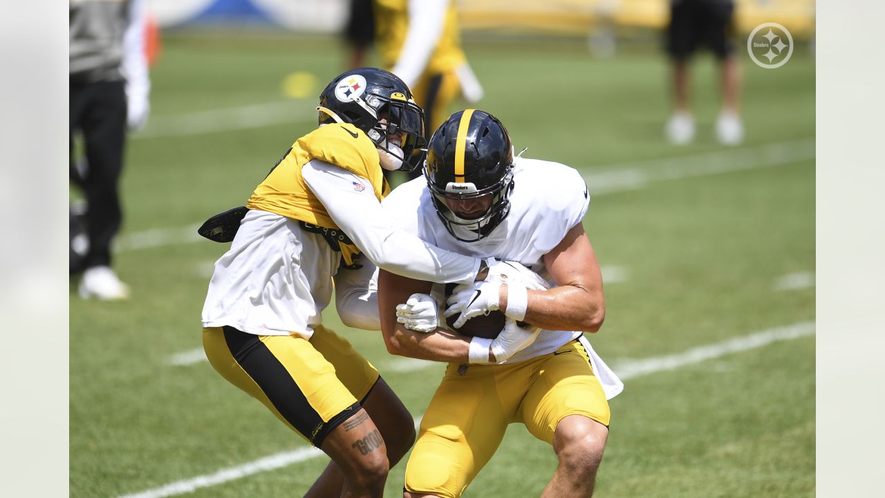 Pittsburgh Steelers linebacker Marcus Allen (27) on the sidelines