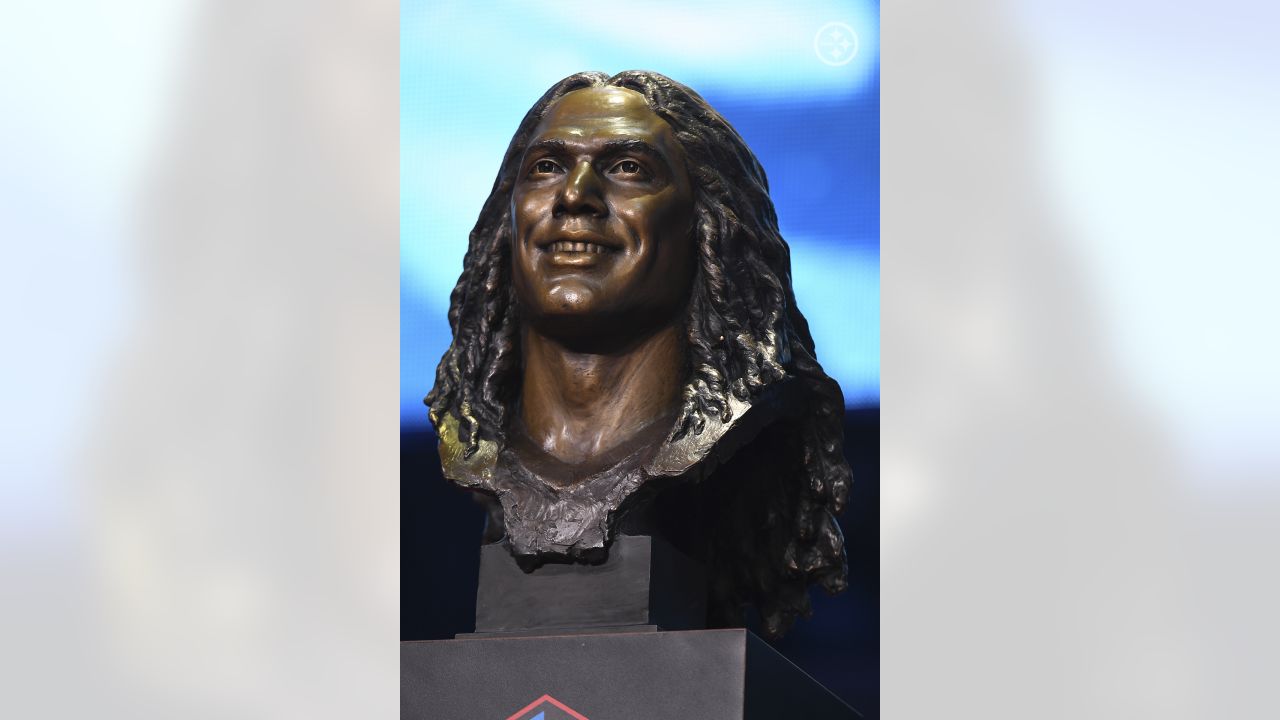 Troy Polamalu, Bill Cowher get loudest Hall of Fame Enshrinement cheer