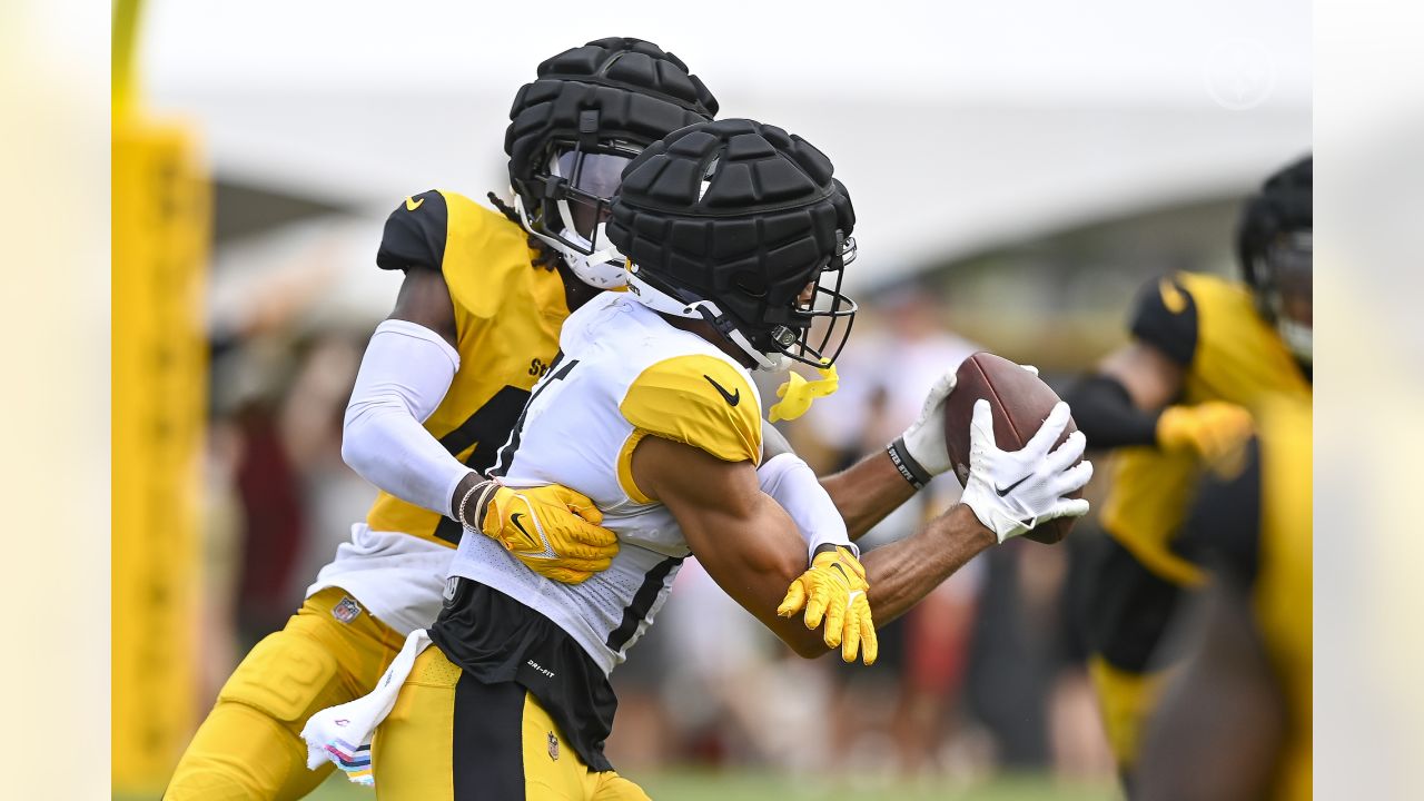 Pittsburgh Steelers helmets on the field at their NFL football training camp  in Latrobe, Pa., Saturday, Aug. 1, 2009. (AP Photo/Keith Srakocic Stock  Photo - Alamy