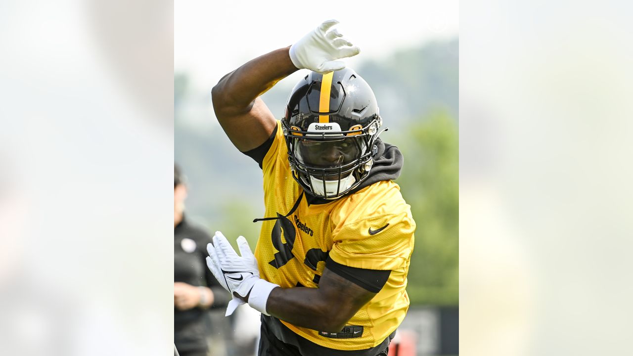 Steelers LB Mark Robinson taking advantage of opportunities