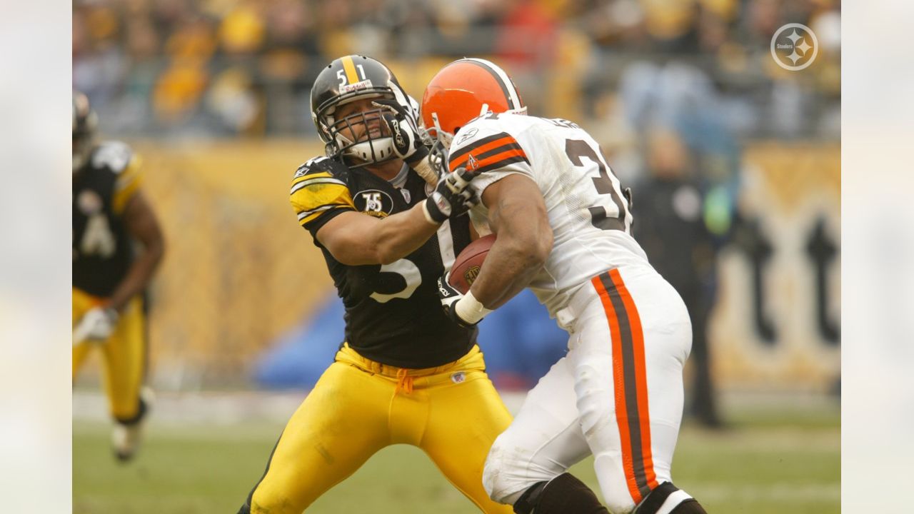 Steelers add Troy Polamalu, Dwight White, Greg Lloyd, James Farrior, Mike  Wagner to Hall of Honor