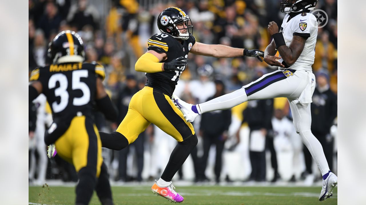 The Viz: The Pittsburgh Steelers vs. Baltimore Ravens Through Time