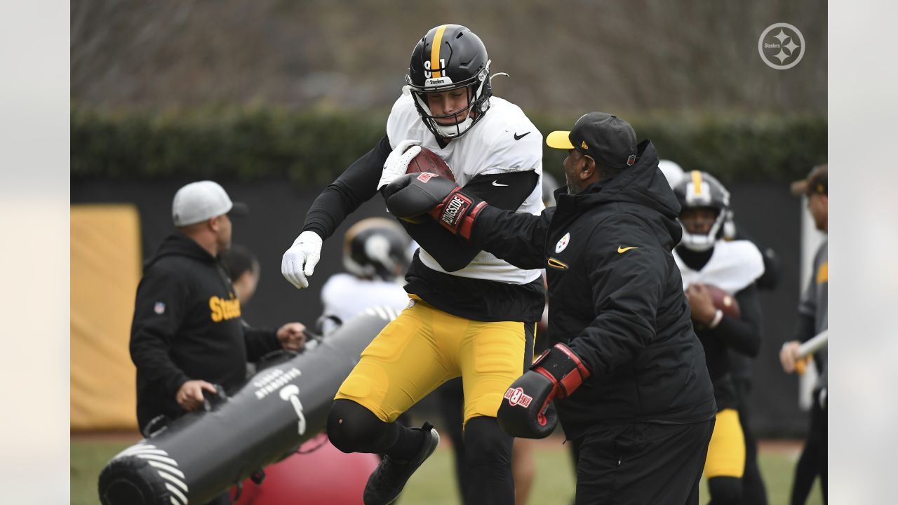 Pittsburgh Steelers tight end Zach Gentry (81) lines up during the