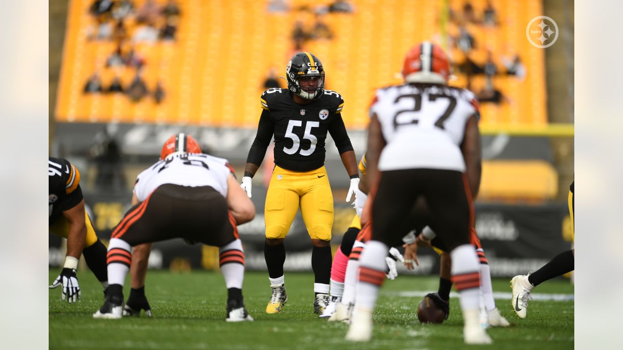 Steelers smash Browns, 38-7