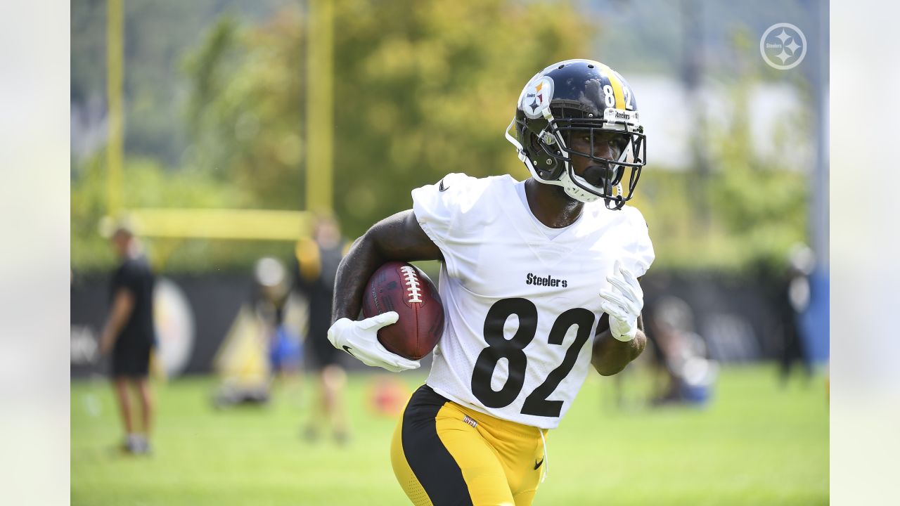 Pittsburgh Steelers wide receiver Steven Sims (82) runs the ball