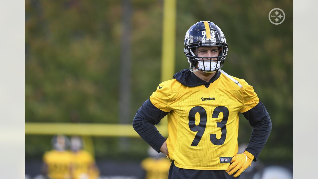 Pittsburgh Steelers inside linebacker Joe Schobert (93) reacts on