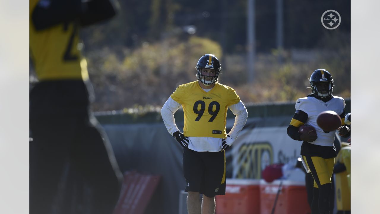 Steelers' Henry Mondeaux provides new excitement in No. 99