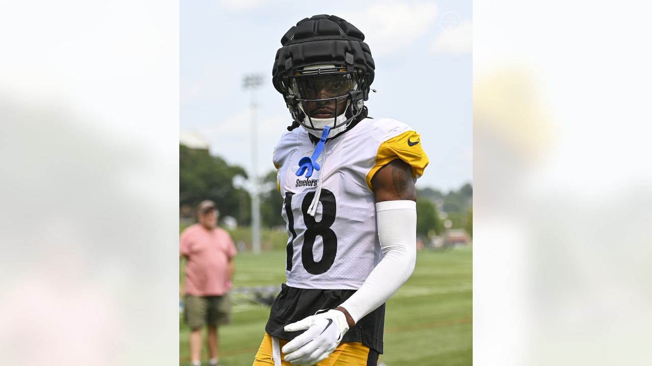 A young Pittsburgh Steelers fan poses for a photo with Pittsburgh Steelers  mascot Steely McBeam during Back Together Weekend at the NFL football  team's training camp at St. Vincent's College in Latrobe