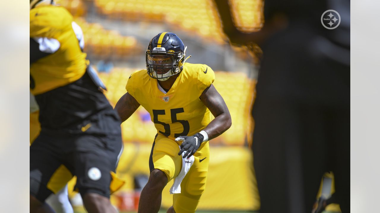 Devin Bush ready for some football, as Steelers don pads at camp