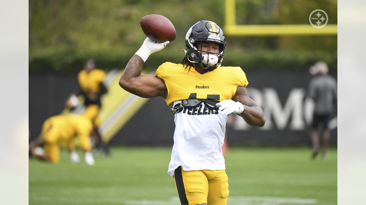 Steelers place Minkah Fitzpatrick on Non-Football Injury list, Tyson Alualu  on PUP