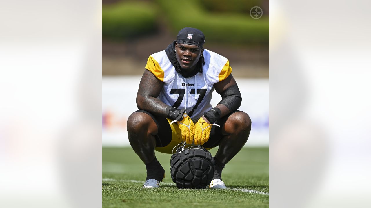 Steelers Training Camp 2017: Live practice updates 7/28 - Behind the Steel  Curtain