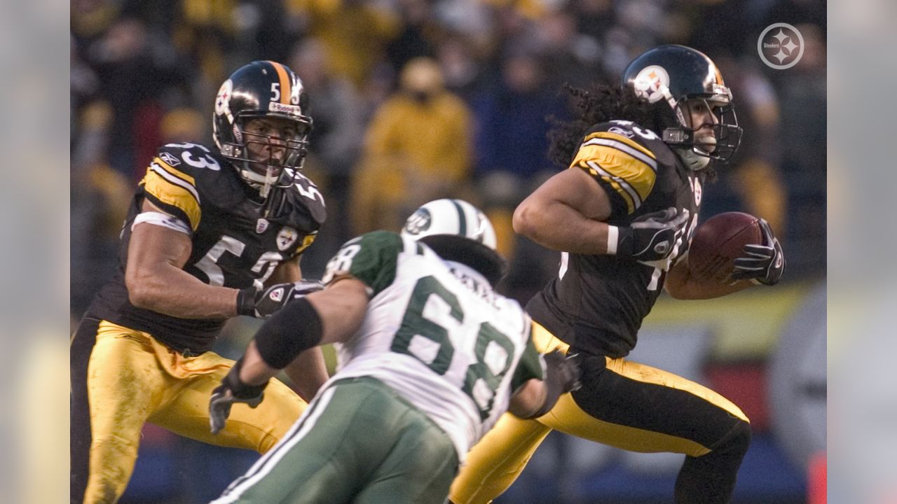 Steelers add Troy Polamalu, Dwight White, Greg Lloyd, James Farrior, Mike  Wagner to Hall of Honor