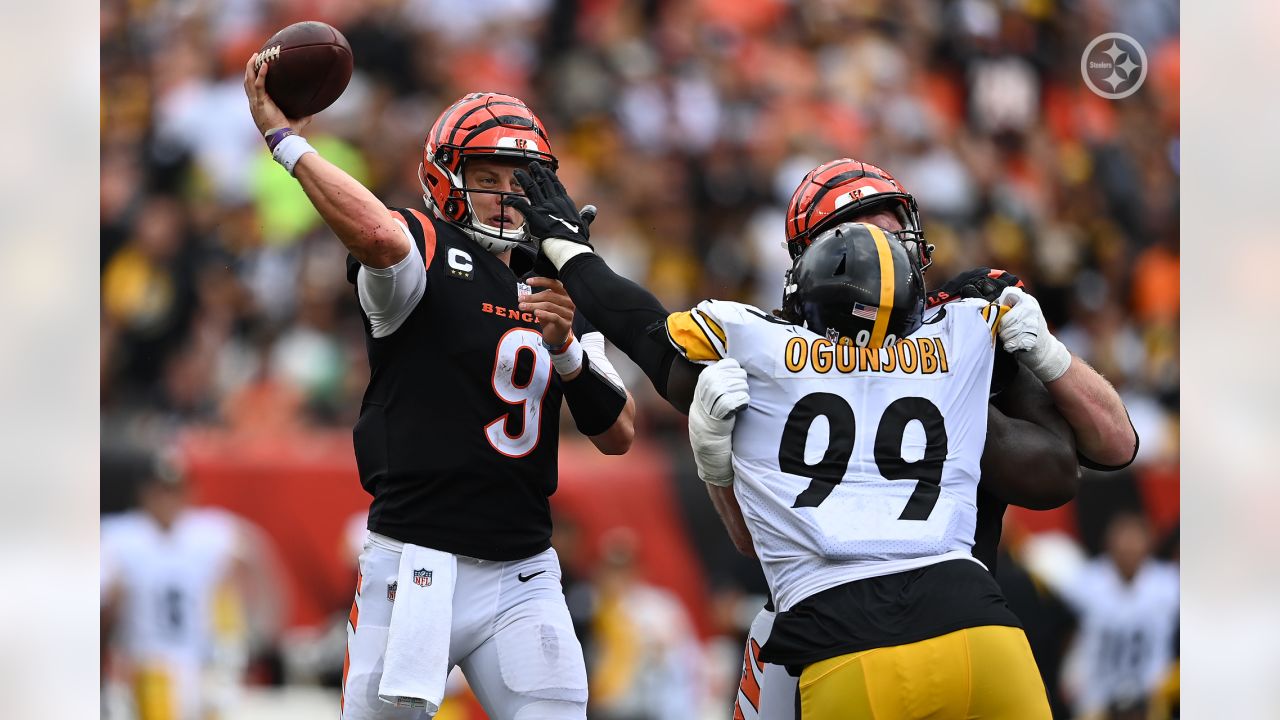 Steelers beat Bengals in NFL day of drama, Illawarra Mercury